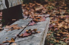 Εορτολόγιο