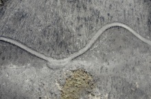 Aerial view of a burnt forest in Evros, Greece.