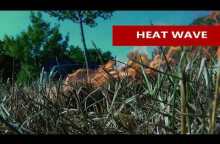Major Heat Wave Hits Quebec, Ontario,  Canada And United States July 4th, 2018