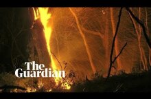 Australia fires: out of control bushfires continue to burn near Canberra