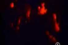 PJ Harvey - Sheela Na Gig