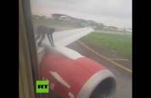 Man climbs on plane wing as it prepares for takeoff