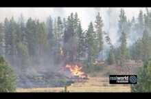 Forest and grass fire footage from British Columbia in 2015. Real World Television.