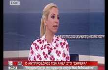 Σγουρίδης : Συζητήθηκαν οικονομικά ανταλλάγματα για το Σκοπιανό