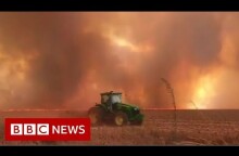 Spike in wildfires in Brazil's Amazon rainforest - BBC News