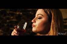 HOTEL PAPANIKOLA NEW COMMERCIAL