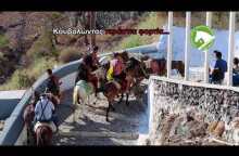 ΕΛΛΗΝΙΚΟΣ ΣΥΛΛΟΓΟΣ ΠΡΟΣΤΑΣΙΑΣ ΙΠΠΟΕΙΔΩΝ - ΛΕΜΕ ΟΧΙ ΣΤΗΝ ΚΑΚΟΠΟΙΗΣΗ