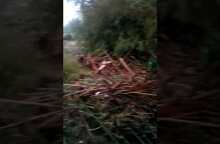 Zona salviano Livorno. Bomba d'acqua della notte fra il 9-10 settembre 2017