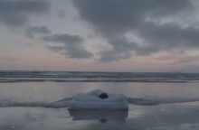 Charlotte Gainsbourg - Ring-A-Ring O' Roses (Official Music Video)