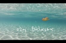 MIKRO - "Στη Θάλασσα"