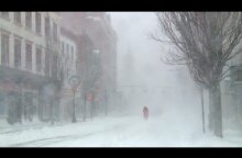 Scenes from Thursday's snow storm