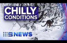 Victoria hit with a wintry blast | Nine News Australia