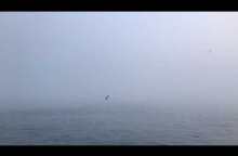 Ortaköy'de sisli bir gün