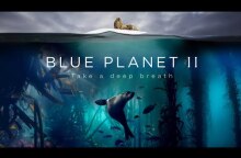 Blue Planet II : The Prequel