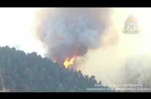 ΟΠΤΙΚΟ ΥΛΙΚΟ ΑΠΟ ΤΗ ΔΑΣΙΚΗ ΠΥΡΚΑΓΙΑ ΑΓΡΙΛΙΤΣΑ ΕΥΒΟΙΑΣ 2