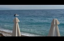 Δελφίνια στην παραλία της Ακράτας - Dolphins play near the beach