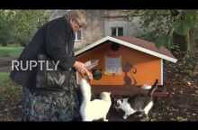 Feline good - Riga resident builds homes for orphaned cats ensuring his eternity in heaven