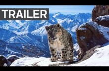 Planet Earth II: Official Extended Trailer | BBC Earth