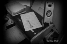 PANDA DUB - AXION ESTI - 2009