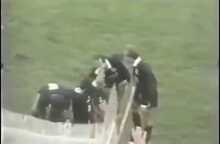 τα 2 καλυτερα γκολ του μαγου ΧΑΪΜΕ  ΒΕΡΑ με τη φανελα του ΟΦΗ