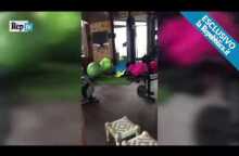 Hotel Rigopiano, l'ultimo video prima della valanga. (VIDEO)