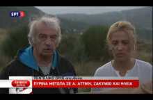 Δηλώσεις της περιφερειάρχου Αττικής Ρένας Δούρου