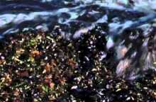 Η αρχή της ιστορίας #11