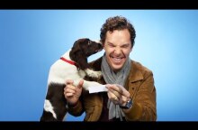 Benedict Cumberbatch Plays With Puppies While Answering Fan Questions