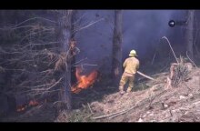 New Zealand wildfire expected to burn for weeks