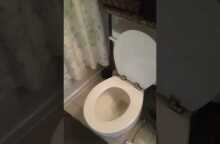 My roommates toilet is crying in the bathroom because they're out of town