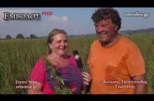 Μελίκη Ημαθίας – Πρώτη συγκομιδή βιομηχανικής κάνναβης - Cannabis harvest – Meliki Greece