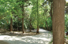 Συμβαίνει στο Παγκράτι