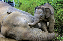 Αναδημοσίευση από το τελευταίο τεύχος του περιοδικού του Γιώργου Χρονά «Οδός Πανός».