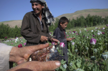 Ρεκόρ παραγωγής οπίου στο Αφγανιστάν - Αύξηση 87% σε σχέση με πέρυσι
