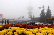 ΟΜΙΧΛΗ ΘΕΣΣΑΛΟΝΙΚΗ