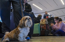 Ατλάντα, αεροδρόμιο