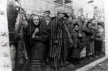 70th-anniversary-auschwitz-liberation-1.jpg