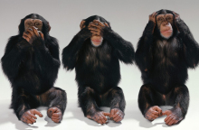 see-no-evil-hear-no-evil-speak-no-evil-monkeys-14750406-1600-1200.jpg