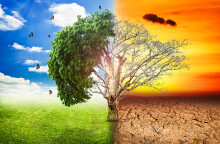 global-warming-climate-change-tree_1big_stock2.jpg