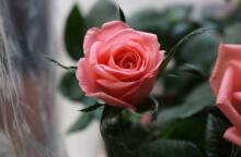 Ποιοι γιορτάζουν σήμερα 24 Μαρτίου; Το εορτολόγιο της Athens Voice