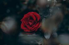 Ποιοι γιορτάζουν σήμερα 23 Μαρτίου; Το εορτολόγιο της Athens Voice