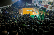 panathinaikos2342.jpg