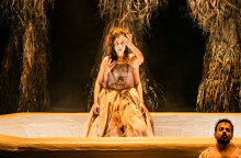 Η βασίλισσα των ξωτικών / Θ. Μπάκα & Χ. Ανδριανός