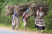 four-women-carrying-firewood.jpg