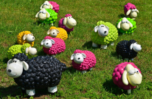 sheep-1437618_1920.jpg