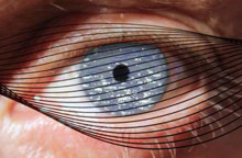 Φεστιβάλ LIF, Σίκινος