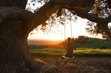 girl-on-swing-under-tree-watching-sunrise.jpg