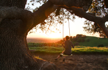 girl-on-swing-under-tree-watching-sunrise.jpg