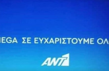 ant1.jpg