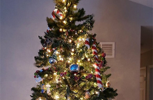 ΧΡΙΣΤΟΥΓΕΝΝΙΑΤΙΚΟ ΔΕΝΤΡΟ 